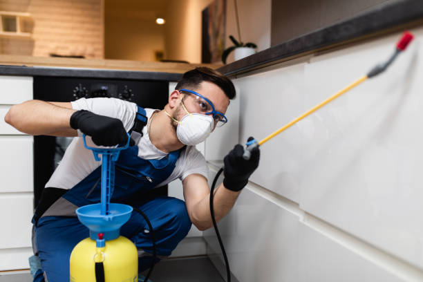 Best Termite Control Services  in Munday, TX