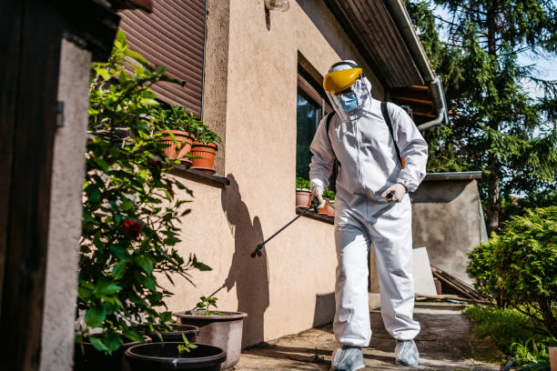 Trusted Munday, TX Pest Control Experts