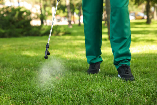 Best Cockroach Control Services  in Munday, TX