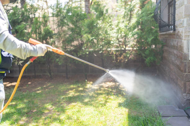 Best Pest Prevention Services  in Munday, TX
