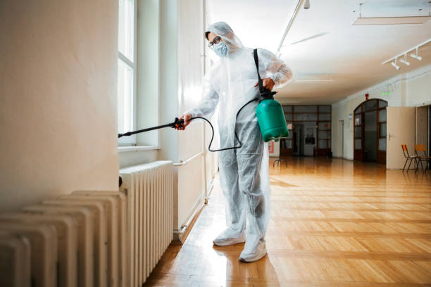 Best Pest Removal Services  in Munday, TX