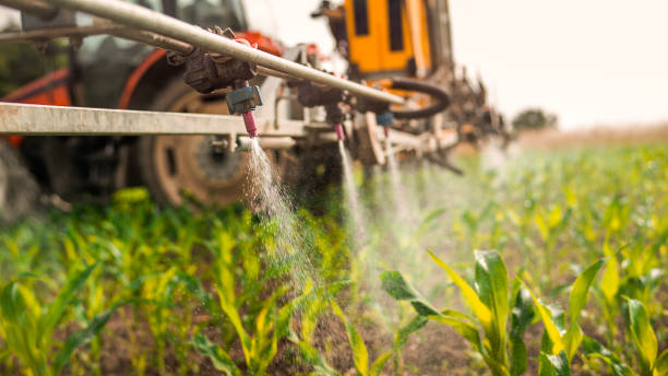 Best Pest Control Cost  in Munday, TX